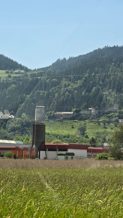The image shows a rural landscape in Friesach, Austria, with a steep, tree-covered mountain slope dominating the background. The mountain is dotted with old stone structures, possibly ruins or remnants of a historical fortification, interspersed with lush green vegetation. A clear blue sky is visible on the left side of the frame.
In the mid-ground, a modern industrial or commercial building complex with red and white facades is situated. Some of these buildings have visible windows. A large, dark, cylindrical silo or tank stands near these structures. Utility poles and wires traverse the scene, indicating infrastructure.
The foreground is filled with a dense field of tall, dry grass, suggesting a rural or agricultural setting. The lighting indicates it is daytime, likely late morning or early afternoon, with sunlight casting shadows across the mountain and highlighting the textures of the grass. The overall atmosphere is serene and natural, with a juxtaposition of historical elements on the mountain and modern structures below. No people are visible in the image, and no text is discernible.