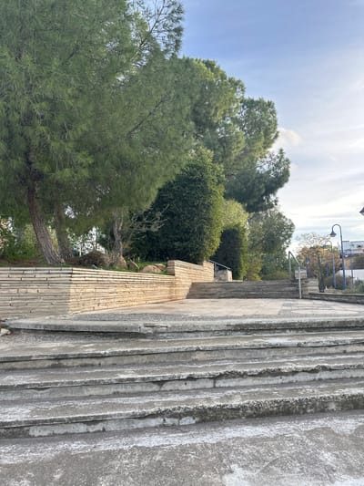 This media file captures an outdoor scene in Agios Dometios, Cyprus, showcasing a combination of natural greenery and man-made concrete structures under a bright, partly cloudy sky. The left side of the frame is dominated by a variety of trees, including large pine trees with prominent trunks and lush green needles, and dense, rounded bushes.

On the right side, there is a series of wide, grey concrete steps or tiered seating areas that extend upwards and into the background. These concrete surfaces show some weathering and lighter colored patches. Adjacent to the trees and below the main concrete steps, a long, lower wall or planter with a distinct horizontal textured pattern, possibly light-colored wood or finely grooved concrete, runs parallel to the green space. Further back, metal railings, some painted blue, and lamp posts are visible, suggesting a public pathway or elevated area.

The image appears to be taken during the daytime, likely morning or early afternoon, given the clear blue sky and bright, diffused sunlight. The weather seems mild and clear. No people or specific activities are depicted, leaving the scene tranquil and static. There is no visible text in the image.