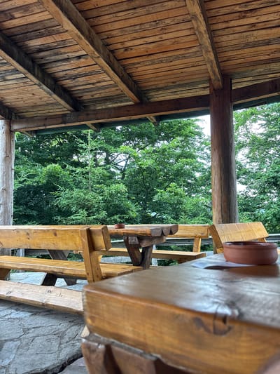 The image shows a wooden structure, likely part of an outdoor mill or water wheel mechanism. The scene is oriented vertically, with a view looking upwards through the structure towards lush green trees and a bright sky, suggesting daytime. The wooden construction is rustic and appears weathered, with visible grain and knots in the planks and beams.
On the right side of the frame, a large wooden wheel with a circular, reddish-brown component is partially visible. It is supported by a wooden framework. To the left, a sloped wooden roof or canopy is constructed from planks. In the background, the dense foliage of trees indicates a natural, possibly rural or forested, setting. A stone wall is visible along the lower right edge of the image.
There are no people or text visible in the image. The overall impression is one of traditional craftsmanship and integration with nature. The lighting suggests it is a bright day, possibly sunny. The location context is Mekića Kula, Montenegro, which is known for its natural beauty and historical sites, potentially including traditional mills.