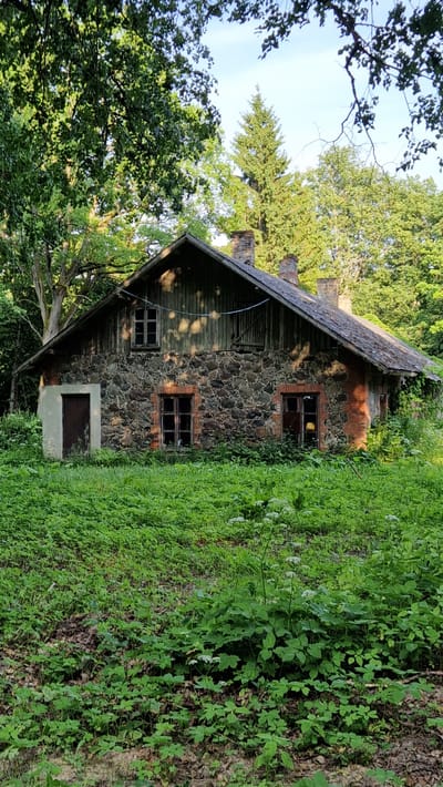 An abandoned stone and brick house stands in a lush, overgrown setting. The house has a wooden gable roof and two chimneys. The stone walls are weathered, and the brickwork around the windows is partially crumbling. Several windows are broken, revealing dark interiors. A wooden door is visible on the left side of the house, and another, smaller door or opening is on the right. The area in front of the house is covered in thick green vegetation, including tall grasses and other plants. Trees and foliage surround the structure, indicating a rural or secluded location. The lighting suggests it is daytime, with sunlight filtering through the leaves.