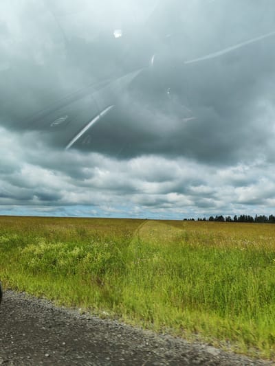 The media file shows a view from inside a vehicle, looking out through the windshield at a cloudy sky and a grassy field. The sky is filled with dark, heavy clouds, suggesting impending rain or a storm. The field is lush and green, with a path winding through it. In the distance, a line of trees marks the horizon. The lower portion of the image shows a gravel road.
The scene appears to be set in a rural or natural environment, likely in Kamennoye, Russia, as per the location context. The time of day is indeterminate due to the overcast weather, but the natural light suggests it is daytime. There are no people visible in the image, and the only prominent objects are the natural elements of the landscape and the interior of the vehicle reflected in the windshield, which obscure some of the view. The overall mood is somewhat somber due to the dark clouds, but the vibrant green of the field offers a sense of life and growth. No text is visible in the media file.