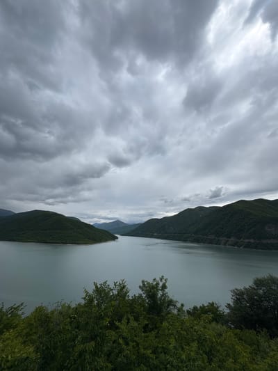 A landscape photograph taken in Aranisi, Georgia, displays a lake nestled between forested mountains under a heavy, overcast sky. The lake fills the right side of the frame, reflecting the muted light. Green, densely foliated mountains rise on either side of the water, creating a sense of enclosure. The sky is filled with gray clouds of varying density, obscuring the sun and suggesting a possibly wet or gloomy day. In the extreme upper-right corner, leafy trees in the foreground obscure the view. No people or animals are visible in the scene.