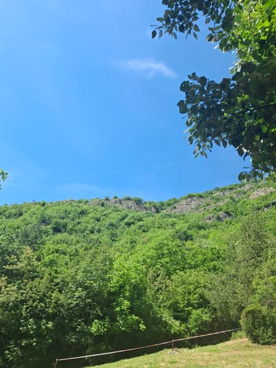 The image, rotated 90 degrees clockwise from its natural orientation, depicts a vibrant outdoor natural landscape. A brilliant, clear blue sky fills the upper left portion of the frame, showing a few faint, wispy white clouds and a thin, high-altitude contrail. Overhanging dark green leaves, likely from trees directly above the viewpoint, frame the top left corner, creating a partial canopy effect.
To the right, a steep hillside or cliff face rises, extensively covered in dense, varied green foliage, including trees and bushes. Patches of lighter-colored exposed rock are visible amidst the greenery, particularly along the upper parts of the cliff. At the far right, a strip of mown green grass stretches vertically, indicating an open, maintained area at the base of the hillside. A slender, red and white striped pole, possibly a marker or barrier support, stands vertically on this grassy strip near the bottom right.
The scene is bathed in bright daylight, suggesting a sunny day, likely midday or early afternoon. The weather appears clear and calm. The overall impression is one of natural serenity and lushness in a hilly or mountainous environment, consistent with the location context of Lyutibrod, Bulgaria. There are no people or discernible activities, and no visible text in the image.