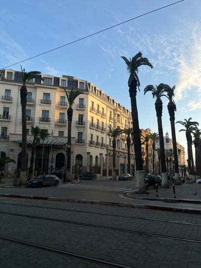 This image displays an urban street scene in Oran, Algeria, centered on the Royal Hotel located on Boulevard Emir Abdelkader. The Royal Hotel, a multi-story structure with a cream-colored facade, ornate gold-railed balconies, and a dark mansard roof, occupies the left side of the frame, illuminated by golden, low-angle sunlight. Its main entrance is identifiable by "ROYAL HOTEL" signage above the glass doors and multiple flagpoles.
Numerous tall palm trees with dark trunks, some featuring white-painted bases, line both sides of the street and stand directly in front of the hotel. In the foreground, a cobblestone street with two parallel tram tracks runs horizontally across the lower third of the image. Beyond the tram tracks, the asphalt road features white crosswalk markings. Several vehicles are present: a dark-colored hatchback is parked curbside on the left, a dark sedan is parked further down the street on the right, and additional indistinct vehicles are visible in the distance. A limited number of individuals are faintly discernible near the hotel entrance and a parked vehicle on the left. The sky overhead is clear blue with scattered wispy white clouds, and an overhead electrical wire traverses the upper portion of the frame. Long shadows are cast across the street, consistent with early morning or late afternoon lighting.