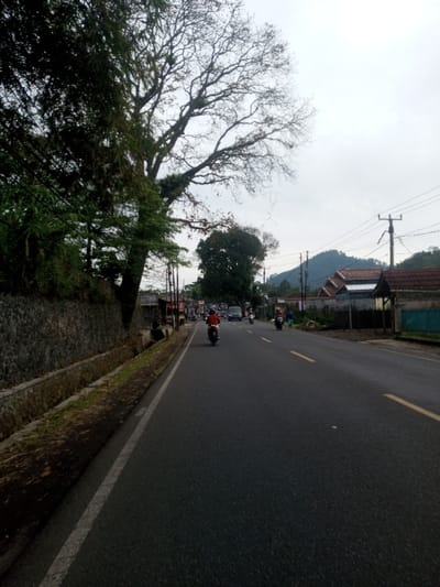 This image depicts a road scene in Sat Thay (East), Myanmar, under an overcast sky. The foreground shows a two-lane asphalt road marked with a solid white edge line on the left and double-dashed yellow center lines. Adjacent to the road's left edge is a concrete drainage ditch, beyond which a stone retaining wall supports dense green foliage, including bamboo and a large tree with mostly bare branches. Utility poles with overhead power lines are visible along both sides of the road. Several vehicles are present on the road, including multiple motorcycles and distant cars, all traveling away from the viewer. A person wearing an orange-red top is riding a dark motorcycle in the immediate mid-ground. To the right of the road, residential buildings with terracotta-tiled roofs are visible, backed by a prominent, tree-covered hill in the distance.