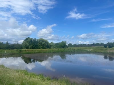 This landscape photograph, taken in Yana, Bulgaria, captures a serene natural scene featuring a body of water, lush vegetation, and a bright, cloudy sky. The image is dominated by a tranquil pond or small lake in the lower half, its surface acting as a mirror reflecting the vibrant blue sky and scattered white cumulus clouds overhead, as well as the surrounding trees. Some darker patches of vegetation or algae are visible on the water's surface.

The immediate foreground features tall, light-green grass along the banks. Beyond the water, the opposing bank is a strip of verdant land covered in a mix of grasses and wildflowers, with notable patches of red and white blooms adding splashes of color. To the far left on this bank, a single white post or marker stands out.

A dense line of trees forms the backdrop, spanning the horizon. Prominent on the left and center are large trees with abundant, flowing green foliage, resembling weeping willows. Further to the right, a varied collection of deciduous and coniferous trees creates a rich, green expanse. The upper half of the image showcases a brilliant blue sky dotted with numerous fluffy white clouds, and faint contrails are visible in the upper right. The overall impression is one of peaceful natural beauty. No human activity or visible text is present in the scene, which appears to be captured on a clear, sunny day, likely in the morning or early afternoon.