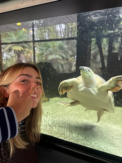 The image displays an indoor scene within an animal exhibit, likely an aquarium or zoo, located in Cidade da Maia, Portugal. On the left, a young female with shoulder-length blonde hair and a light complexion, wearing a striped sleeve and a dark top, smiles directly at the viewer. Her right index finger is positioned against her own nose. A clear, slightly smudged glass barrier separates her from the exhibit. On the right, submerged in clear water, is a pale, light-grey Pig-nosed turtle (Carettochelys insculpta). The turtle is oriented slightly to the left, with its distinctive snout and raised head clearly visible, and its four flipper-like limbs extended. The aquatic enclosure features a light-colored, possibly sandy, bottom. Beyond the exhibit glass, an outdoor background with multiple palm trees is discernible through additional glass panes, indicating a vegetated, open-air area. The female subject is engaged with the camera, while the turtle is observed in its habitat.