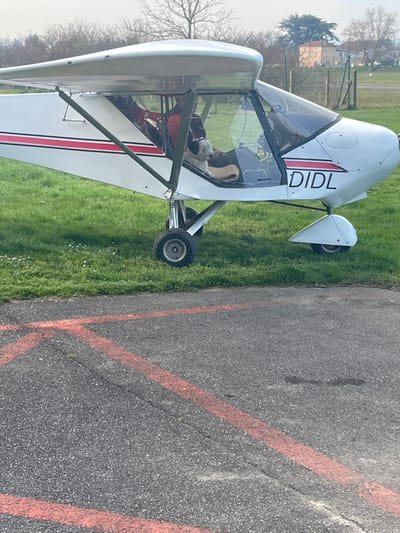 An ultralight aircraft is depicted partially on a grassy airfield and partially on an asphalt surface marked with faded orange-red lines, located at the Aérodrome de Chonas-l'Amballan, France. The aircraft is a white, high-wing model with tricycle landing gear, bearing the identifier "DIDL" in black on its forward fuselage and a horizontal red and black stripe along its side.
Inside the cockpit, a person wearing an orange-red top occupies the left seat. A small, white, shaggy-haired dog is seated on a beige mat or cushion in the right seat, facing forward. The background features leafless trees, a wire fence, and several distant buildings with tiled roofs under an overcast sky. The foreground shows cracked asphalt with faint ground markings.