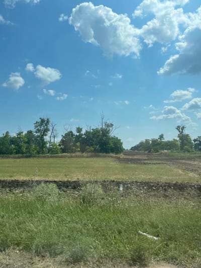 This media file captures an outdoor scene on a bright, sunny day, likely in the afternoon given the clear blue sky and fluffy white clouds. The image is oriented vertically, with the sky occupying the left two-thirds and a rural landscape on the right.
The landscape features a strip of lush green grass that transitions to rougher, drier terrain with scattered vegetation. A dark, tilled or fallow field runs alongside the grassy area, with a line of trees forming a natural border beyond that. These trees appear to be a mix of deciduous species, some with dense foliage and others with bare, gnarled branches, suggesting a transition between seasons or varied health among the trees. Small, light-colored objects, possibly flowers or debris, are scattered across the grassy and tilled areas. A white plastic object, possibly a piece of litter, is visible in the grass.
The sky is a vibrant blue, dotted with numerous white, cumulus clouds, some appearing large and textured, while others are smaller and more wispy. The overall impression is one of a peaceful, natural environment. There is no visible text or people in the image. The location context provided, Proletarskii, Russia, suggests a rural setting in that region. The weather appears to be warm and pleasant.