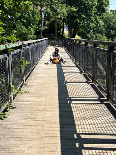 In Lysaker, Norway, a person wearing a white hoodie and black pants sits on a wooden bridge with a small, fluffy dog. The bridge has metal railings with wire mesh. The sun casts long, grid-like shadows across the wooden planks of the bridge. Green foliage is visible on the left side of the bridge and in the background, with trees and buildings forming the distant landscape under a bright sky.