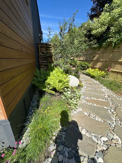 The image depicts a well-maintained garden path in the city of Lapino Grad Kp, Russia. The path, made of irregular flagstones interspersed with smooth river stones, winds through lush greenery. Ferns and ornamental grasses are prominent, with a large rounded boulder adding a natural focal point. A bamboo fence forms the backdrop, suggesting a desire for privacy and a touch of Asian-inspired aesthetics. The architecture of a modern wooden-clad building is visible on the left, hinting at a residential setting. The scene is illuminated by bright sunlight, casting shadows, including that of a person taking the photograph, onto the path. The sky is a clear blue, indicating pleasant weather conditions.