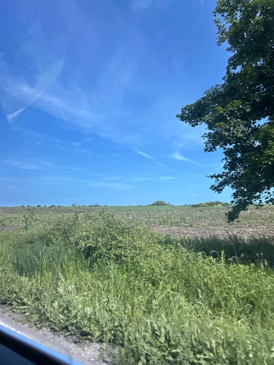 The image, originally captured in portrait orientation and rotated 90 degrees counter-clockwise, depicts a bright rural landscape under a clear sky. Assuming a corrected, upright orientation for description:
The upper portion of the frame is dominated by a vivid blue sky, featuring scattered wispy white clouds and faint contrails. Dark green tree foliage extends into the top left and slightly into the top right sections of the sky. In the bottom left area of the sky, reflections, likely from a vehicle's windshield, are visible, showing abstract shapes and lines.
A distinct horizon line separates the sky from the land, running across the middle of the image. Below the horizon, an expansive field stretches across the right side of the frame. This field appears to be largely tilled earth or sparsely vegetated ground, characterized by brown and grey tones, with interspersed patches of green growth. Small red specks, possibly wild poppies, are discernible within the field or along its edges. In the foreground, along the bottom right, dense green bushes and grass line what appears to be a roadside or field boundary. A small part of a vehicle's interior or window frame can be seen in the very bottom right corner.
The scene conveys a bright, sunny daytime setting with clear weather. The overall impression is one of an open, natural countryside viewed from inside a vehicle. There is no visible text in the image. The location context provided is Kumanovo, Bulgaria.