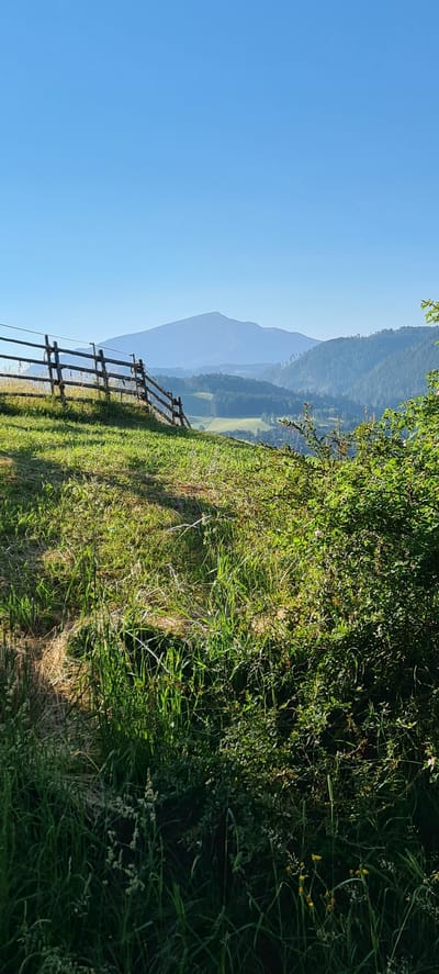 The image depicts a scenic view of rolling hills and mountains under a clear blue sky. In the foreground, a rustic wooden fence runs diagonally across a grassy slope. The grass is lush and green, with some patches of dry hay. To the right, there is a dense bush with green leaves and small pink flowers. In the mid-ground, more rolling hills covered in dense green forests are visible, leading to a hazy, large mountain in the background. The overall impression is one of a tranquil rural landscape, likely in a mountainous region. The location is identified as Deutschnofen - Nova Ponente, Italy.