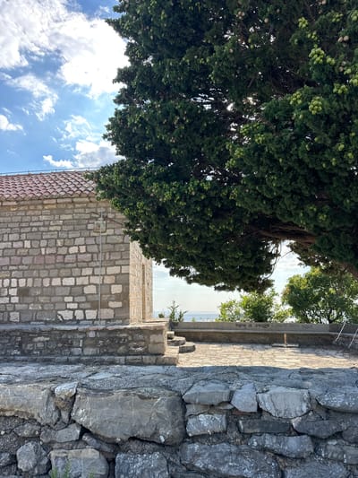 The image depicts a stone building with a red-tiled roof, situated in the village of Blizikuće, Montenegro. A large evergreen tree with numerous green cones dominates the right side of the frame, casting a shadow over part of the scene. In the foreground, there is a rough stone wall. Beyond the building and tree, the blue sea and sky are visible, suggesting a coastal location. The area appears to be an outdoor space, possibly a courtyard or terrace, with stone paving and a concrete bench. The overall atmosphere is tranquil and natural.