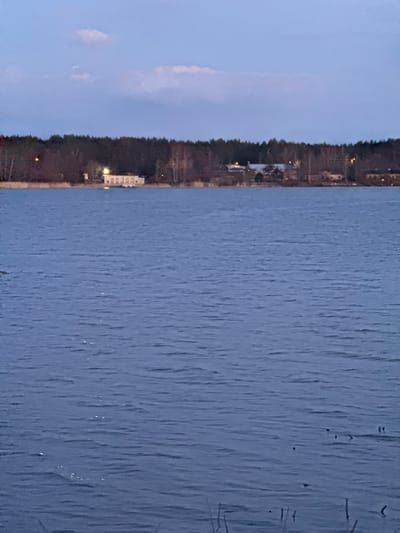 The image captures a view of the lake at Baltezers, Latvia, with the shoreline featuring a dense forest and occasional buildings with illuminated windows. The sky displays a gradient of light blue, indicating either dawn or dusk. The lake's surface is textured with ripples. Wooden poles or stakes are visible in the water along the edge.