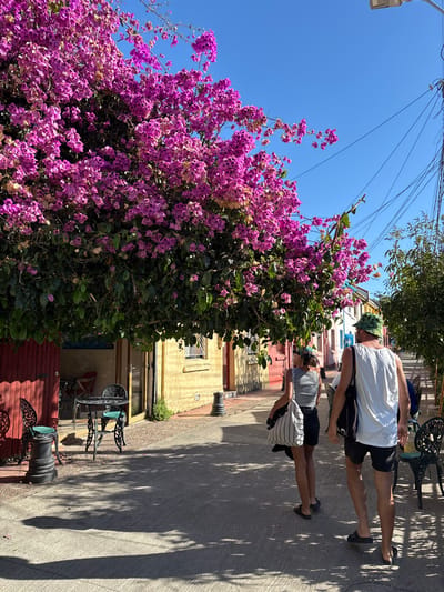 The image displays a sunlit street scene in Tomé, Chile, under a clear blue sky. A large bougainvillea plant with dense purple flowers and green leaves occupies the upper left and central frame, casting dappled shadows onto the paved walkway.

On the left, two dark wrought-iron cafe tables, each with two matching chairs fitted with teal cushions, are positioned outside a building. This building features a yellow facade with a dark window and red wooden double doors. A dark bollard stands near the building's corner.

Two individuals are observed walking away from the viewer, moving towards the right side of the frame. The person on the left, a female, wears a grey tank top, dark shorts, and sandals, carrying a white and black striped tote bag over her left shoulder, and a multi-colored patterned bucket hat. The person on the right, a male, wears a white tank top, dark shorts, and dark sandals, carrying a dark shoulder bag, and a green and yellow patterned bucket hat.

In the background, a row of multi-colored buildings in shades of red, blue, and white line the street. A street light fixture and numerous overhead utility wires are visible in the upper right quadrant, alongside some green foliage.