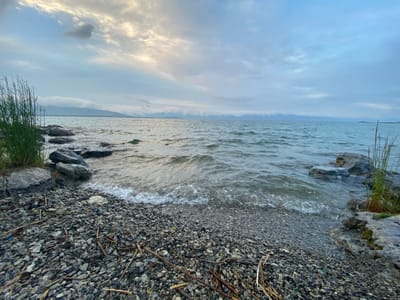 The image depicts a tranquil natural scene at the shore of a large body of water, likely a lake or sea, under an overcast sky. The foreground is a rocky, pebble-strewn beach with scattered dry reeds and twigs. Large grey rocks are embedded in the shoreline, some of which are partially submerged by the gentle waves. Lush green reeds grow prominently on the left side of the image, adding a vibrant contrast to the muted tones of the rocks and water.

The water itself is a deep blue-grey, with small waves creating white foam as they lap against the shore. In the distance, a hazy mountain range is visible, partially obscured by clouds that hug the horizon. The sky is a canvas of soft grey and white clouds, with patches of lighter, brighter sky suggesting the presence of the sun attempting to break through. The overall mood is peaceful and serene, evoking a sense of quiet contemplation.

The time of day appears to be either early morning or late afternoon, given the soft, diffused light and the muted colors. The weather is cloudy, contributing to the calm atmosphere. The location is identified as Chkalovka, Armenia, suggesting a lakeside or seaside setting in that region. No people or specific objects are the focus, with the scene emphasizing the natural elements of water, land, and sky. There is no visible text in the image.