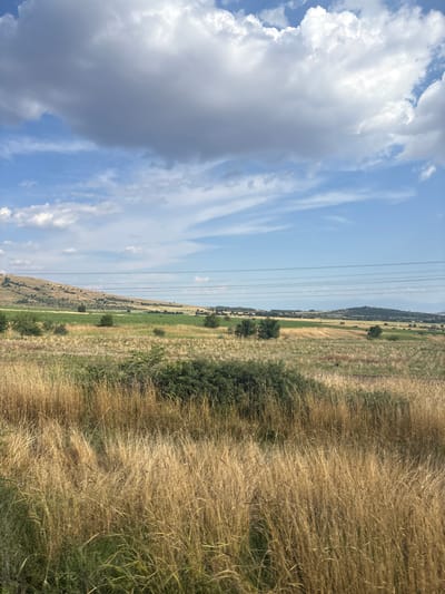 A wide shot shows a rural landscape under a partly cloudy sky. In the foreground, tall, golden grasses sway gently, interspersed with patches of green foliage. Beyond the grasses, rolling hills stretch into the distance, dotted with patches of green vegetation and some scattered trees. A few dark lines, possibly power lines, stretch horizontally across the midground. The sky is a vibrant blue, with large, fluffy white and grey clouds drifting across. The overall impression is one of a serene and natural setting. The image is taken from a slightly elevated perspective, looking out over the fields. There are no people or animals visible in the scene. The location is identified as Smilets, Bulgaria.