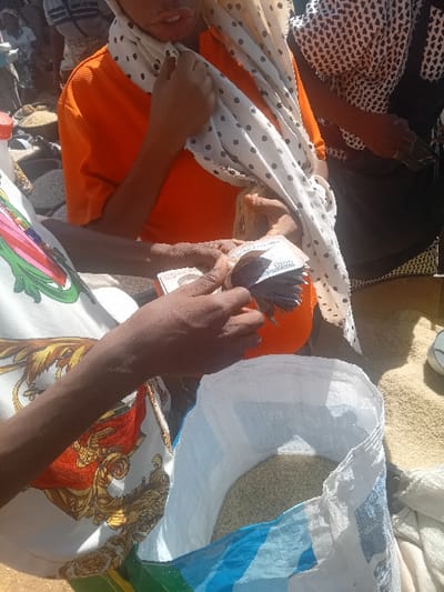 The image depicts an outdoor market transaction in Gurku Gwari, Nigeria. Two individuals are engaged in the exchange or counting of Nigerian Naira banknotes. A person in the foreground, wearing a white shirt with a colorful, ornate design, uses dark-skinned hands to hold a stack of notes. Opposite them, another individual, partially obscured, wears an orange top and a white polka-dotted headscarf, with their hands also interacting with the money. Between them and slightly to the right is an open, white and blue woven polypropylene sack containing light-colored grains. Further grains are visible in a metal bowl in the background and scattered on the ground, indicating a vendor's stall. The scene is illuminated by natural light.