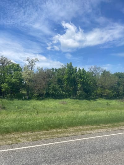 The image shows a view from the side of a road. On the right, asphalt pavement with a white lane marking is visible. Next to the road is a strip of green grass. Beyond the grass, there is a line of trees with varying shades of green foliage. Above the trees, a blue sky is filled with white clouds. The image may be of a location outside of a city as there is a prevalence of vegetation. This image does not depict Moskovskoe, Russia.