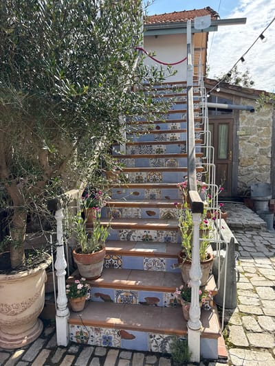 In Semogorskiy, Russia, a picturesque outdoor staircase ascends, its risers adorned with colorful, patterned ceramic tiles. A large olive tree stands to the left, its branches casting dappled sunlight onto the scene. Several potted plants, including one with pink flowers, are strategically placed along the steps and at the base of the stairs. The staircase is bordered by a white railing with ornate posts. In the background, a rustic stone building with a wooden door is visible, and a string of lights hangs overhead. The ground surrounding the staircase is paved with irregular stone blocks.
