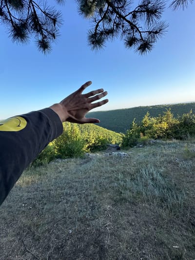 In Pryvorottia Druhe, Ukraine, a person's outstretched hand, palm facing forward and fingers spread, is visible in the foreground, reaching towards a vast, verdant landscape. The person is wearing a dark long-sleeved shirt with a yellow smiley face emblem on the left sleeve. The environment is a hilly, wooded area bathed in the warm light of a clear blue sky. The terrain is covered in dry grass and scattered rocks, suggesting a rural or natural setting. Pine branches with cones hang from the top of the frame, framing the scene from above. The overall impression is one of a serene outdoor excursion, possibly at a scenic overlook.