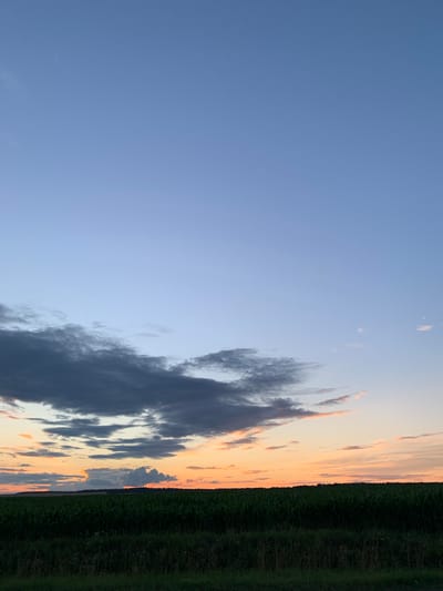 This is a landscape photograph of a rural scene at sunset in the Цімкавіцкі сельскі Савет, Belarus. The image is dominated by a gradient sky that transitions from a clear, light blue at the top to warm hues of orange and pink near the horizon. Dark, textured clouds are present in the mid-sky, with lighter, wispy clouds scattered throughout.
Below the sky, a dense, dark green field, likely a crop such as corn, stretches horizontally across the frame. A thin band of darker, wilder vegetation is visible in the foreground, bordering the cultivated field. The horizon is marked by a line of trees, silhouetted against the colorful sky. There are no people or animals visible in the image. The overall impression is one of tranquility and the natural beauty of a rural sunset.