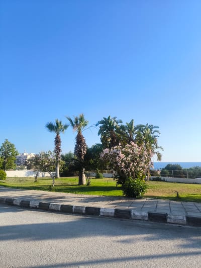 The image depicts a street scene in Paphos Municipality, Cyprus, under a clear blue sky. In the foreground, a paved road with visible tire tracks and shadow patterns runs parallel to a sidewalk. The sidewalk is bordered by a curb with alternating black and white painted sections. Beyond the sidewalk, a well-maintained grassy area is visible, dotted with trees and a flowering bush with pink blossoms. In the middle ground, several palm trees stand tall. Behind the greenery, a low white wall separates the park-like area from a building complex with light-colored structures. Further in the background, the blue expanse of the sea is visible, with a faint hint of land on the horizon. The overall impression is one of a pleasant, sunny day in a coastal urban environment.