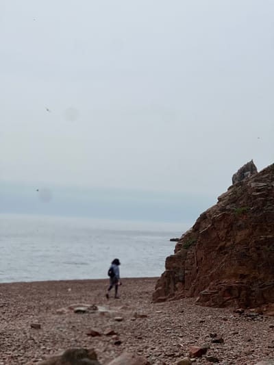The image shows a coastal scene near Russkiy Island, Russia. A person is standing on a rocky beach next to a cliff face. The sky is overcast and the water is calm. The beach is composed of small pebbles and rocks. The cliff face is made of reddish-brown rock and has some vegetation growing on it.