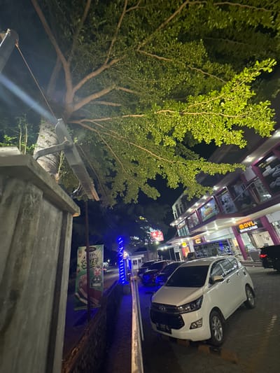 The image depicts a street scene at night in the city of Keudeteupinpunti, Indonesia. In the foreground, a grey concrete wall is visible, with a tree with green leaves arching overhead. To the right, a white minivan is parked on a paved surface. Behind the minivan, a multi-story building with illuminated storefronts is present. The storefronts have signs in various colors, including purple and yellow. Several other cars are parked further down the street. A large banner with an image of a cow and text is displayed on a pole. Blue string lights are also visible along the street. The overall impression is of a commercial area at night.