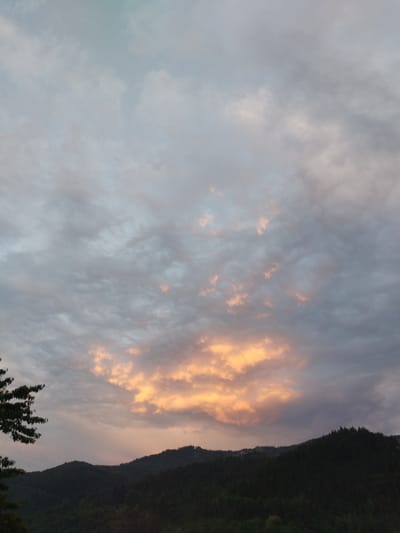 This is a photograph of a mountain range and a cloudy sky. The mountains are dark green and silhouetted against the sky. The sky is a mix of gray and pink clouds, with some patches of blue showing through. There is a tree branch in the foreground on the left side of the image. The photograph appears to have been taken during either sunrise or sunset. The location is the region of Smilyan, Bulgaria.
