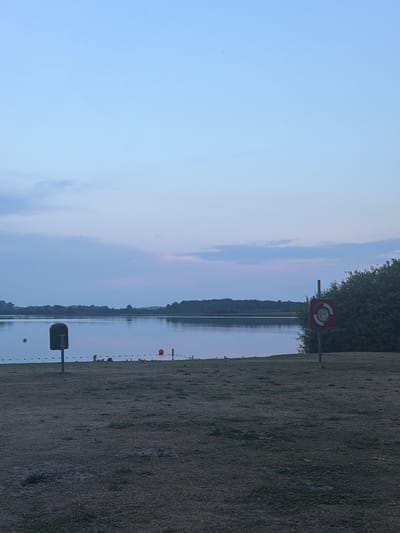 This is an outdoor, ground-level, eye-level, slightly wide shot photograph of a lake scene at dusk. In the foreground, there is a patch of dry grass with some sparse weeds. On the left side of the foreground, a dark green, rectangular bin with a silver handle is mounted on a pole. In the mid-ground, a lake stretches across the image, with a distant tree line bordering its far side. Several orange buoys are visible in the water, some marking a rope barrier. On the right side of the mid-ground, a red and white circular lifebuoy is mounted on a pole. Behind the lifebuoy, dense green foliage can be seen. The sky above is a gradient of pale blue to a very light lavender hue, with faint clouds. The overall atmosphere is calm and serene. The location is not specified in the image itself, but based on context this appears to be a lake area, possibly a recreational spot.