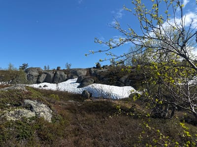 The image depicts a landscape in what appears to be a mountainous area, possibly the location of the city of Kandalaksha, Russia. Patches of snow persist on the ground, contrasting with the exposed rock formations. Low-lying vegetation, including shrubs and moss, covers the foreground and surrounding areas. A tree with budding green leaves is prominent on the right side of the image. The sky is clear blue with scattered clouds. In the upper left of the picture is a small sliver of the moon visible.