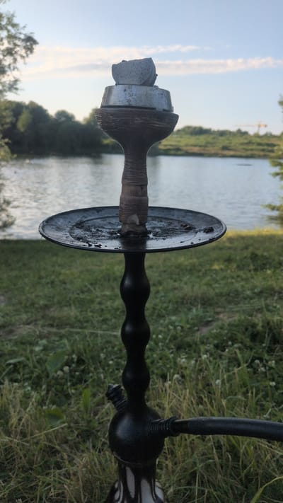 This image shows a close-up of a hookah with a swirling black stem, placed outdoors. The hookah appears to be made of metal and has a dish on top. The background features a body of water, likely a lake or river, with trees lining its edge. The area is covered in green grass with some small white flowers, suggesting a natural, possibly rural setting. The sky is visible at the top, with some light clouds. The overall lighting and sky suggest it is daytime, possibly late afternoon or early evening, with clear weather. There is no text visible in the image. The focus is on the hookah and its immediate surroundings, with the natural landscape forming a backdrop.