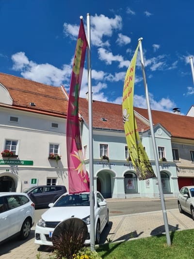 A low-angle, vertical shot captures two vibrantly colored flags flying from poles against a brilliant blue sky with fluffy white clouds. The flags are oriented horizontally, with the top one being yellow and adorned with a cartoon bee and leafy designs, along with partial text that appears to read "GARLZ NAL F www.r". The bottom flag is a bright pink and features a stylized yellow flower with a cartoon face.

Behind the flags, a street scene unfolds. Buildings with red tile roofs and light blue or white facades line a cobblestone street. Storefronts are visible, with one featuring the text "Evelyn" and another "Kopf Sa". Further down, the text "Die Fellschn siderei" is also visible. The street is quiet, with a few white cars parked along the side. One car has the partial text "Club Murau" visible on its windshield. Signs for "URPARKHAUS" are also present.

The scene suggests a sunny day in a European town. The flags might be part of a local festival or event, adding a festive touch to the otherwise ordinary street. The bright colors of the flags and the clear blue sky evoke a sense of cheerfulness and a pleasant atmosphere. The overall impression is one of a charming, well-maintained town on a beautiful day.