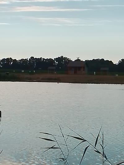 The image depicts a serene landscape scene with a body of water in the foreground and a treeline in the background. A small wooden structure, possibly a shelter or a cabin, is visible on the grassy bank beyond the water. Several other smaller structures, appearing to be picnic shelters or gazebos, are also scattered along the treeline. The sky is a soft gradient of blue and white, with wispy clouds. Reeds or tall grasses are present in the lower portion of the image, framing the water. The overall impression is one of a peaceful, possibly recreational, outdoor environment.
