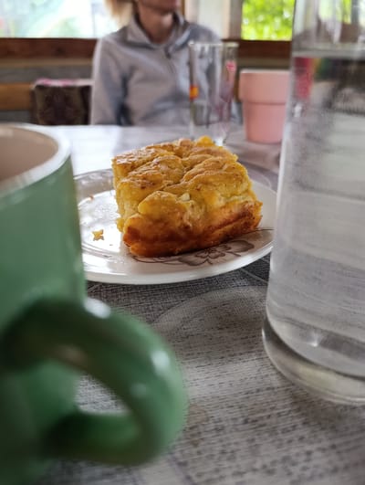 In Mladinovo, Bulgaria, a close-up shot captures a slice of golden-brown baked goods on a white plate with a floral pattern. The pastry appears to be a type of cake or pie, with a slightly uneven, textured surface. To the left, a blurred green mug is in the foreground. To the right, a glass of water is partially visible, its surface showing condensation. In the background, a person wearing a light-colored zippered jacket is seated at a table, their face and hair out of focus. Behind them, a window offers a glimpse of greenery. The table is covered with a gray textured cloth.