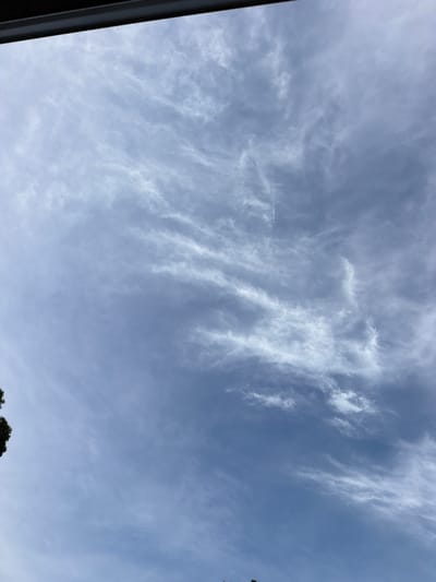 This image captures a view of the sky, likely from ground level, looking upwards. The sky is a pale blue with wispy, white cirrus clouds scattered across it. These clouds are thin and feathery, suggesting fair weather conditions. In the upper half of the image, the clouds form patterns that, with imagination, could resemble a stylized human figure or a creature.

A notable detail in the sky is a contrail left by an airplane, a thin white line stretching horizontally across the frame. This indicates that an aircraft was flying overhead, leaving the visible trail of condensed water vapor. The presence of the contrail suggests it is daytime, and likely mid-morning or afternoon given the brightness of the sky and the sunlight illuminating the clouds.

At the bottom left of the image, a dark, angled object cuts into the frame, resembling the edge of a window frame, roofline, or perhaps a car's windshield. This suggests the photo was taken from inside a vehicle or a structure with a window. At the bottom right, the dark silhouettes of tree branches are visible, hinting at an outdoor setting, possibly a residential area or park.

There is no visible text in the image. The overall mood conveyed by the image is one of serenity and vastness, with the expansive sky and delicate clouds creating a sense of peace. The contrast between the natural elements of the sky and the man-made contrail adds a touch of modern life to the scene.