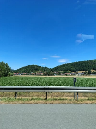 An eye-level medium shot captures a rural landscape in Wörth an der Donau, Germany, under a clear blue sky. In the foreground, a gray asphalt road runs horizontally across the bottom of the frame, bordered by a weathered metal guardrail. Beyond the guardrail, a vast field of tall, green corn stalks dominates the middle ground. In the distance, a cluster of houses with red-tiled roofs is nestled at the base of rolling, tree-covered hills. The overall scene depicts a serene, sun-drenched day in the German countryside.