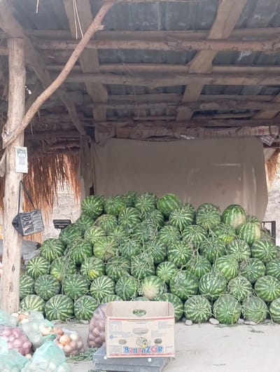 In the city of Садырбай, Kyrgyzstan, a stall displays a large pile of watermelons under a rustic, open-air shelter. The shelter's roof is constructed from corrugated metal and wooden beams, supported by rough-hewn wooden posts. To the left of the watermelons, a black bag hangs from a post, next to a sign with a QR code. In the foreground, several sacks of onions are visible, along with a cardboard box labeled "BananzOR". The ground is a sandy or dusty surface. No people are visible in the image. The overall scene depicts a market stall selling produce.