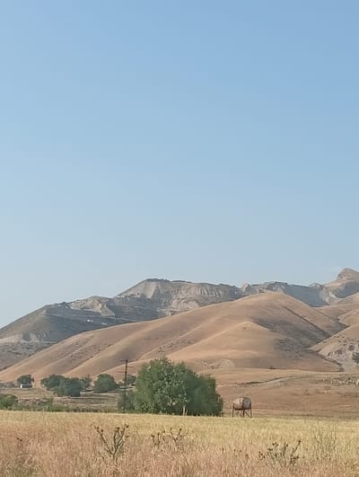 This media file depicts a rural landscape with rolling, barren hills under a clear blue sky. The scene appears to be set during the daytime, likely with dry weather conditions. In the foreground, a field of dry, golden grass or wheat is visible, with some scattered weeds and seed heads. Further back, a small cluster of trees can be seen. A prominent feature in the middle ground is an old, rusted cylindrical water tank elevated on a metal stand. To the left of the tank, a power line tower stands, suggesting the presence of some infrastructure. The background is dominated by the undulating, dusty-brown hills, some of which show signs of erosion or quarrying. The overall impression is one of a vast, arid, and sparsely populated natural environment. There are no people visible in the image, and no text is present. The landscape suggests a remote and possibly agricultural or pastoral setting, consistent with the provided location context of Beş-Küŋgöy, Kyrgyzstan.