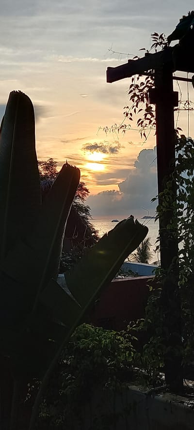 Captured at Baan Wok Tum, Thailand, the image presents a view dominated by natural elements. In the foreground, large banana leaves are silhouetted against the scene. Above, the sun pierces through a mix of clouds, creating a striking display of orange and yellow hues. A glimpse of the sea can be seen in the distance. Vines and foliage frame the view, adding depth. A utility pole also appears on the left side of the frame.