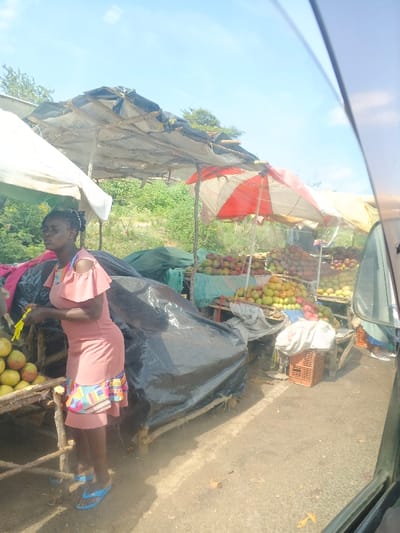 The image captures a vibrant roadside fruit market in Makuyu, Kenya, under a clear, sunny sky, likely during daytime. The scene is observed from what appears to be a vehicle, with part of a car window and frame visible on the right.
The primary subject is a woman, standing on the left side of the frame, attending to her stall. She has dark skin, with her hair styled or braided and adorned with beads. She wears a peach-colored dress with ruffled sleeves and a colorful, patterned ruffled hem, paired with light blue flip-flops. Her expression is neutral as she looks towards her left, possibly tending to her produce or engaging with an unseen customer.
The market consists of several makeshift stalls constructed from wooden poles, covered with various materials like tarpaulins (black and light-colored), and fabric sheets, providing shade. A prominent red and white striped umbrella also offers shade over a large display of fruit. The stalls are laden with abundant quantities of fresh fruit, predominantly mangoes of various stages of ripeness (green, yellow, and reddish hues), neatly piled on wooden tables and crates. Other round, yellowish-green fruits, possibly apples or another local variety, are also visible. Black tarpaulins are also used to cover items or as part of the stall structure. Brown plastic crates are scattered on the ground near the displays.
The setting is an outdoor, informal market adjacent to a dirt or unpaved road, with lush green vegetation, including bushes and trees, visible in the background under the bright blue sky. The ground is rough and appears dusty. No discernible text is visible in the image. The overall impression is one of everyday commerce in a bustling, rural or semi-urban environment.