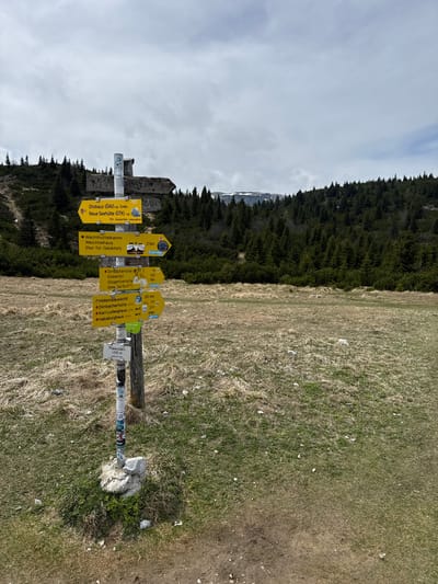 A slightly tilted, full outdoor shot shows a wooden trail signpost with yellow directional signs set against a backdrop of a mountain forest and a grassy field, taken in the city of Reichenau an der Rax, Austria. The signpost is partially obscured by stickers, and is surrounded by small rocks and vegetation. The signs indicate trail directions and estimated hiking times to various locations, including "Ottohaus (ÖAV)," "Neue Seehütte (ÖTK)," and "Dirnbacherhütte (ÖTK)." The sky is overcast.