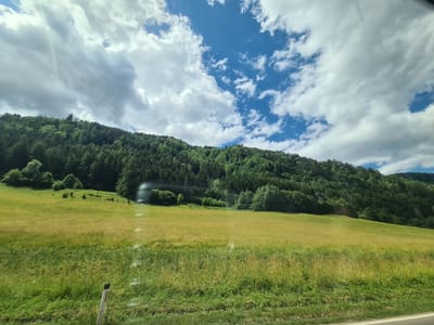 A landscape photograph taken from a vehicle shows a bright, sunlit scene with a focus on nature. In the foreground, a green grassy field stretches across the bottom of the frame. A thin white and red marker post stands on the left side of the field. The field transitions to a lighter, golden-yellow hue as it slopes upwards towards a densely forested hill that dominates the middle ground. The trees are predominantly dark green, creating a textured expanse that covers the hillside. The background is a bright blue sky filled with fluffy white cumulus clouds, some of which are tinged with grey, suggesting dynamic weather. The image appears to be taken on a sunny day, possibly in the region of St. Georgen ob Judenburg, Austria, given the context provided. The overall impression is one of a rural, scenic environment with lush vegetation and a vibrant sky.