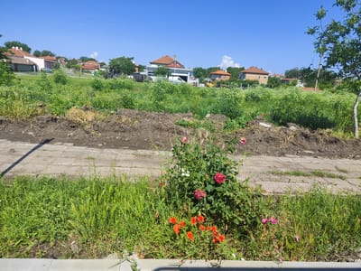 The image depicts a sunny day in the city of Roza, Bulgaria. The scene is an outdoor landscape with a clear blue sky. In the foreground, there is a patch of green grass and wildflowers, including red poppies and pink roses. A paved pathway runs through the middle ground, with piles of dirt and construction materials on either side, suggesting ongoing work or recent landscaping. In the background, a village scene unfolds, featuring traditional houses with red tile roofs. The houses are nestled among trees and greenery, creating a rustic and tranquil atmosphere. There are no people or animals visible in the image. The overall impression is of a peaceful rural setting on a bright, warm day.