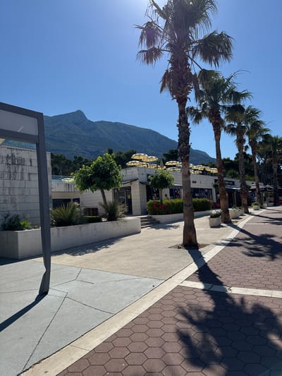 This image depicts a sunny daytime scene in Makarska, Croatia. The foreground features a paved walkway with a hexagonal brick pattern, bordered by a lighter colored sidewalk. Palm trees with their fronds casting shadows line the right side of the walkway. Behind the palm trees, a low-rise building complex with white facades and storefronts is visible. Yellow umbrellas are arranged on the rooftops of some of these buildings. To the left of the building complex, there is a white, stone-clad structure with planters containing greenery. In the background, a large, tree-covered mountain rises against a clear blue sky. The overall impression is that of a coastal resort or commercial area.
