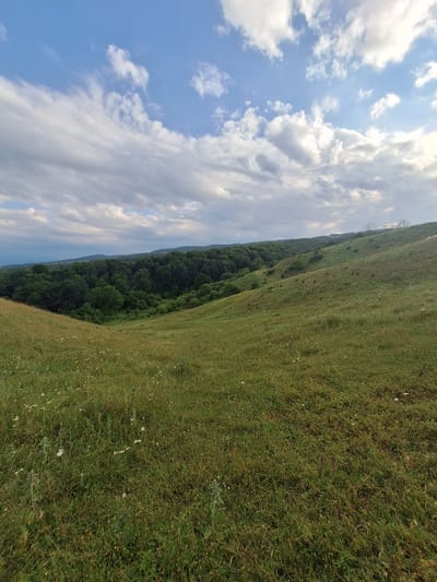 The image depicts a rural landscape under a partly cloudy sky. The scene is dominated by a gently sloping grassy hill, with a dense forest stretching along its base and into the distance. The sky is a vibrant blue, with scattered white clouds, suggesting a pleasant day, possibly late afternoon given the angle of the light. The grass on the hill is green and appears somewhat wild, with small wildflowers interspersed throughout. The forest is a deep, rich green, indicating healthy vegetation. In the far distance, faint outlines of hills or mountains can be seen. There is no visible text in the image, and no people or man-made objects are present, emphasizing the natural and serene quality of the setting. The overall impression is one of peacefulness and natural beauty.
