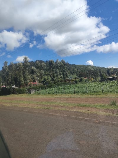 The image depicts a rural scene in Kibirichia ward, Kenya. In the foreground is an asphalt road, slightly wet or reflective, suggesting recent moisture. Beyond the road is a strip of grassy, partially dirt ground, acting as a roadside verge. A field of what appears to be crops, likely maize given the region's agricultural practices, is visible behind the verge. A simple wire fence runs along the edge of the field. Behind the field, there are scattered trees and vegetation leading up to a gentle hillside. Interspersed among the trees are houses, indicated by rooftops. Overhead are several power lines stretching across the sky. The sky is blue with scattered white clouds.