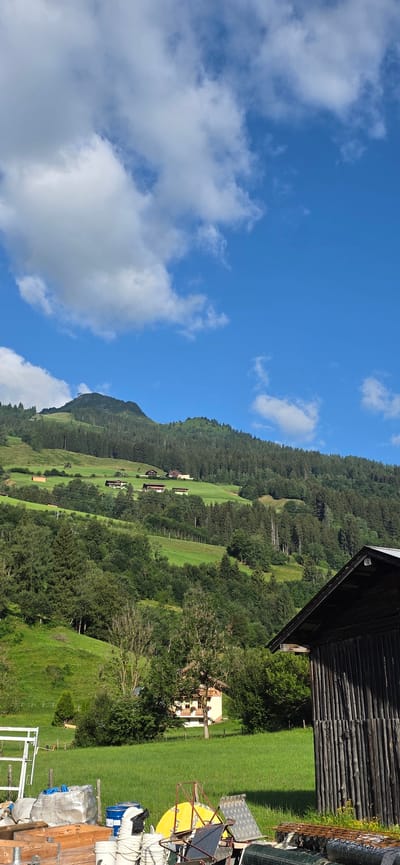 The image depicts a scenic view of a mountainous landscape in Anger, Austria, under a partly cloudy blue sky. In the foreground, a dark wooden shed with a sloping roof is partially visible on the right side of the frame. In front of the shed, various items are stacked, including wooden crates, a large grey bag, blue barrels, white buckets, and pieces of metal sheeting and netting. The mid-ground features a lush green hillside dotted with trees and several buildings, suggesting a rural or semi-rural settlement. The background is dominated by a densely forested mountain slope, with some of the trees appearing tall and dark green. The overall impression is one of a serene, natural environment with signs of human habitation.